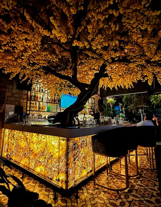 [Imagen de Proyectos Interior]