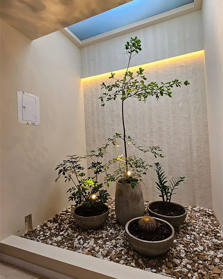 Jardin clraboya Crystal White (2)