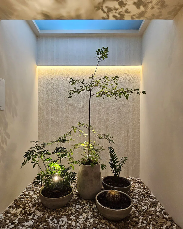 Jardin clraboya Crystal White (4)